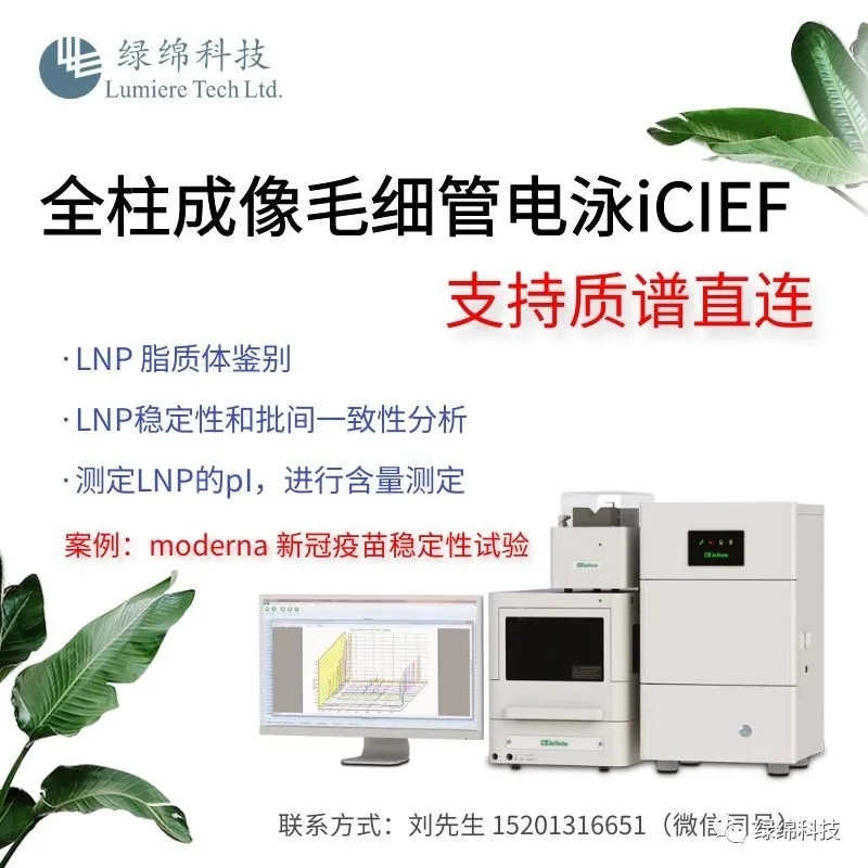 綠綿2.webp.jpg